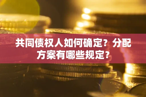 武汉共同债权人如何确定？分配方案有哪些规定？