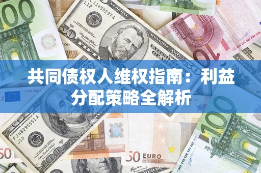 武汉共同债权人维权指南：利益分配策略全解析
