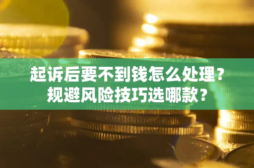 武汉起诉后要不到钱怎么处理？规避风险技巧选哪款？