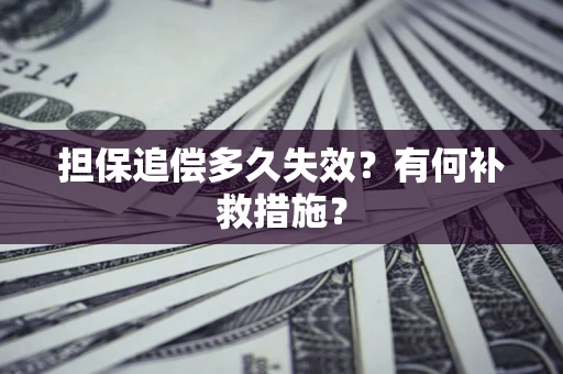 武汉担保追偿多久失效？有何补救措施？
