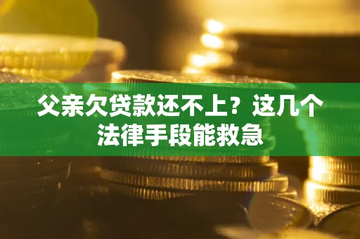 武汉父亲欠贷款还不上?这几个法律手段能救急 武汉父亲欠贷款还不上?这几个法律手段能救急