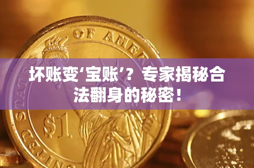 武汉坏账变‘宝账’？专家揭秘合法翻身的秘密！