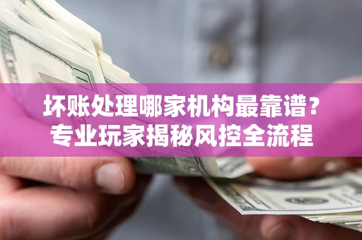 武汉坏账处理哪家机构最靠谱？专业玩家揭秘风控全流程